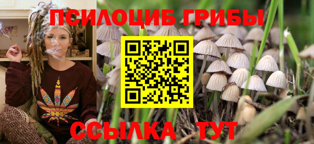 Псилоцибиновые грибы Magic Shrooms Татарск