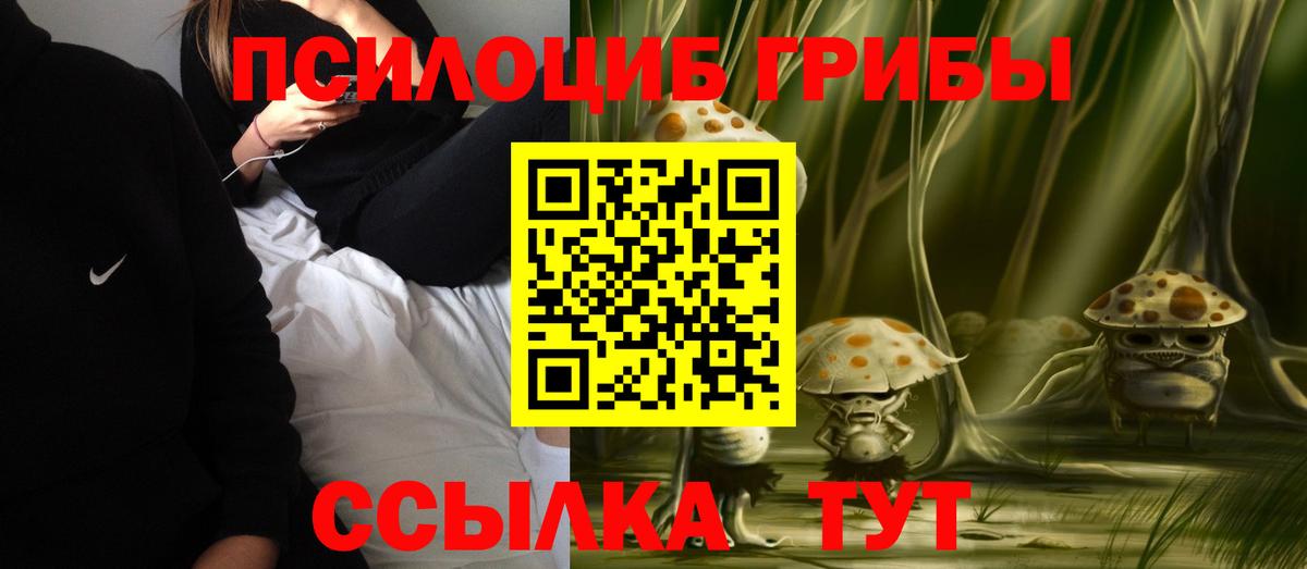 Псилоцибиновые грибы Psilocybine cubensis  Вход с VPN  Татарск 